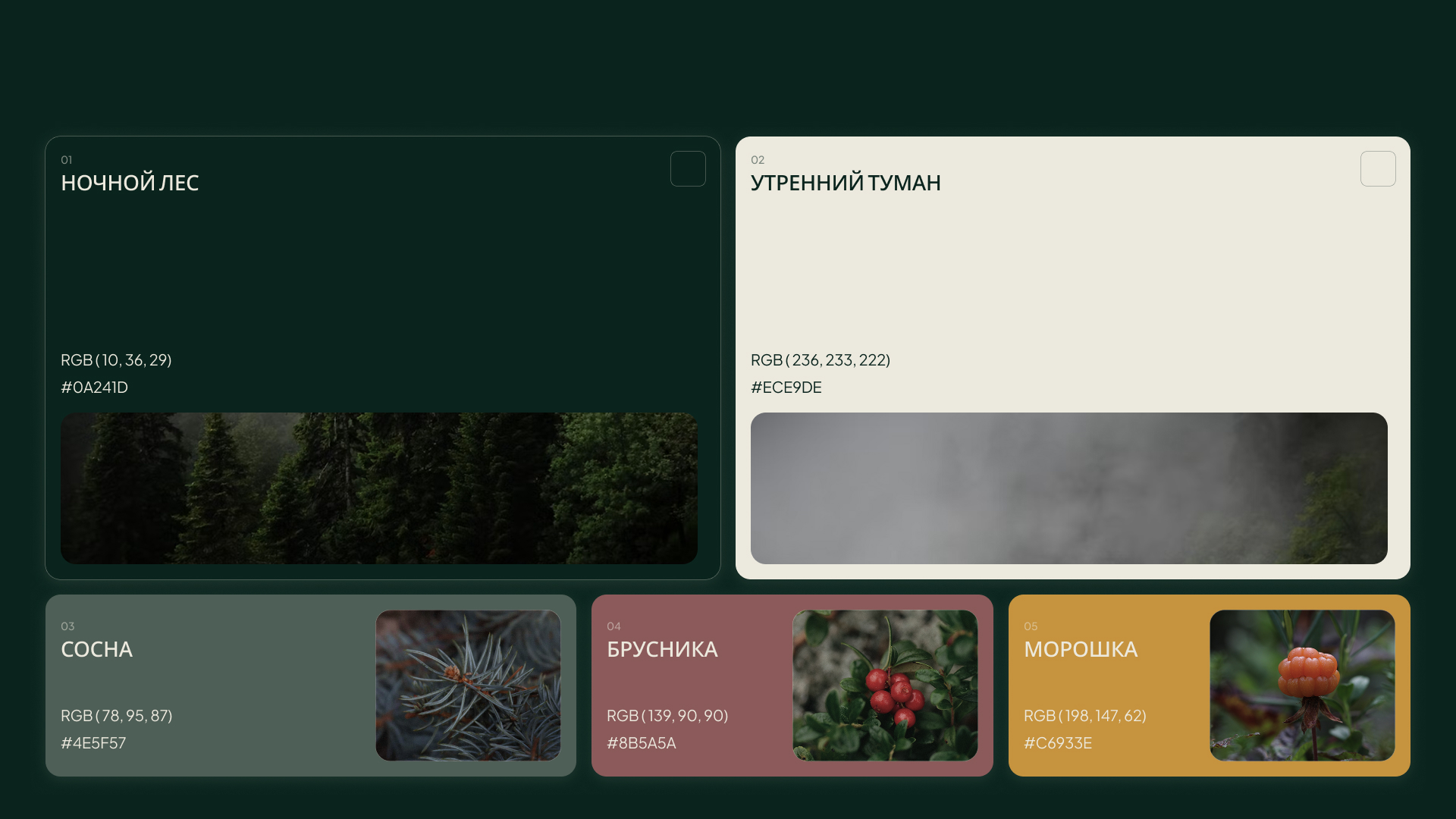Pine & Fog — логотип и фирменный стиль для specialty-кофейни — Изображение №7 — Брендинг на Dprofile
