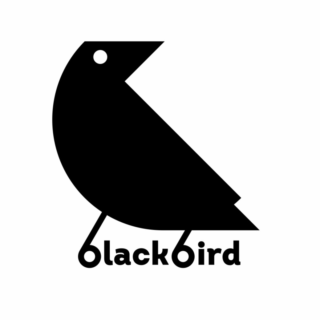 Аватар пользователя BlackBird 58