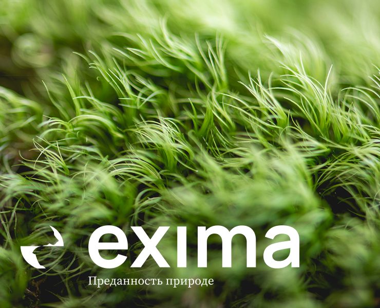 Exima - сайт строительной компании — Интерфейсы, Анимация на Dprofile