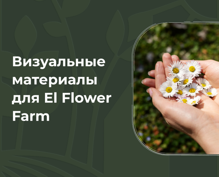 El flower farm — Интерфейсы на Dprofile
