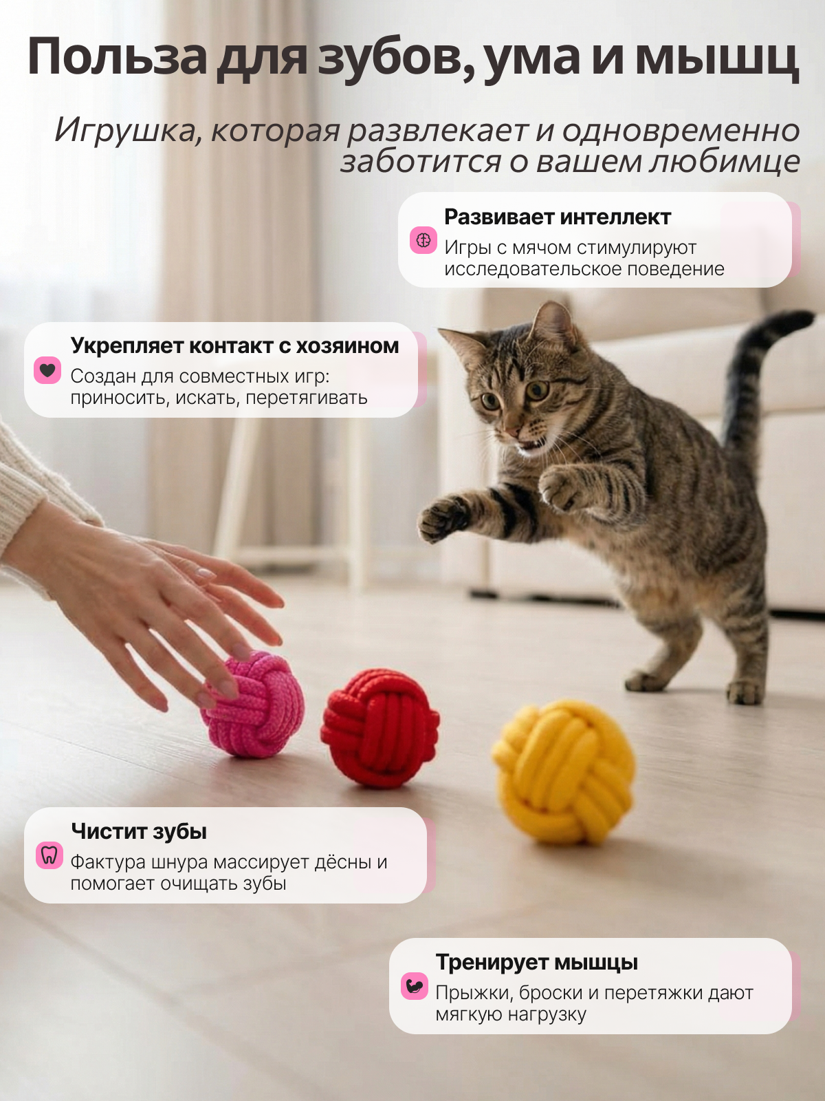 Инфографика для товара игрушки для собак — Изображение №2 — Графика, Нейро на Dprofile