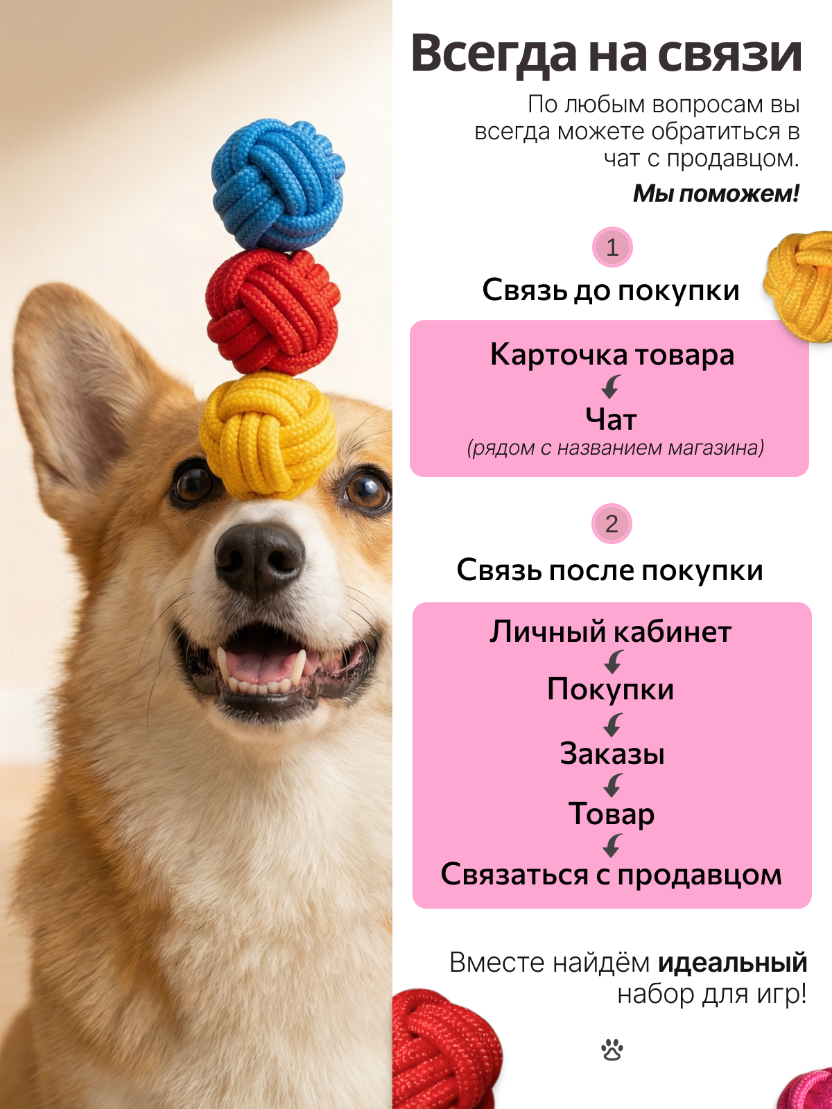 Инфографика для товара игрушки для собак — Изображение №4 — Графика, Нейро на Dprofile