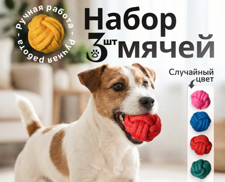 Инфографика для товара игрушки для собак — Графика, Нейро на Dprofile