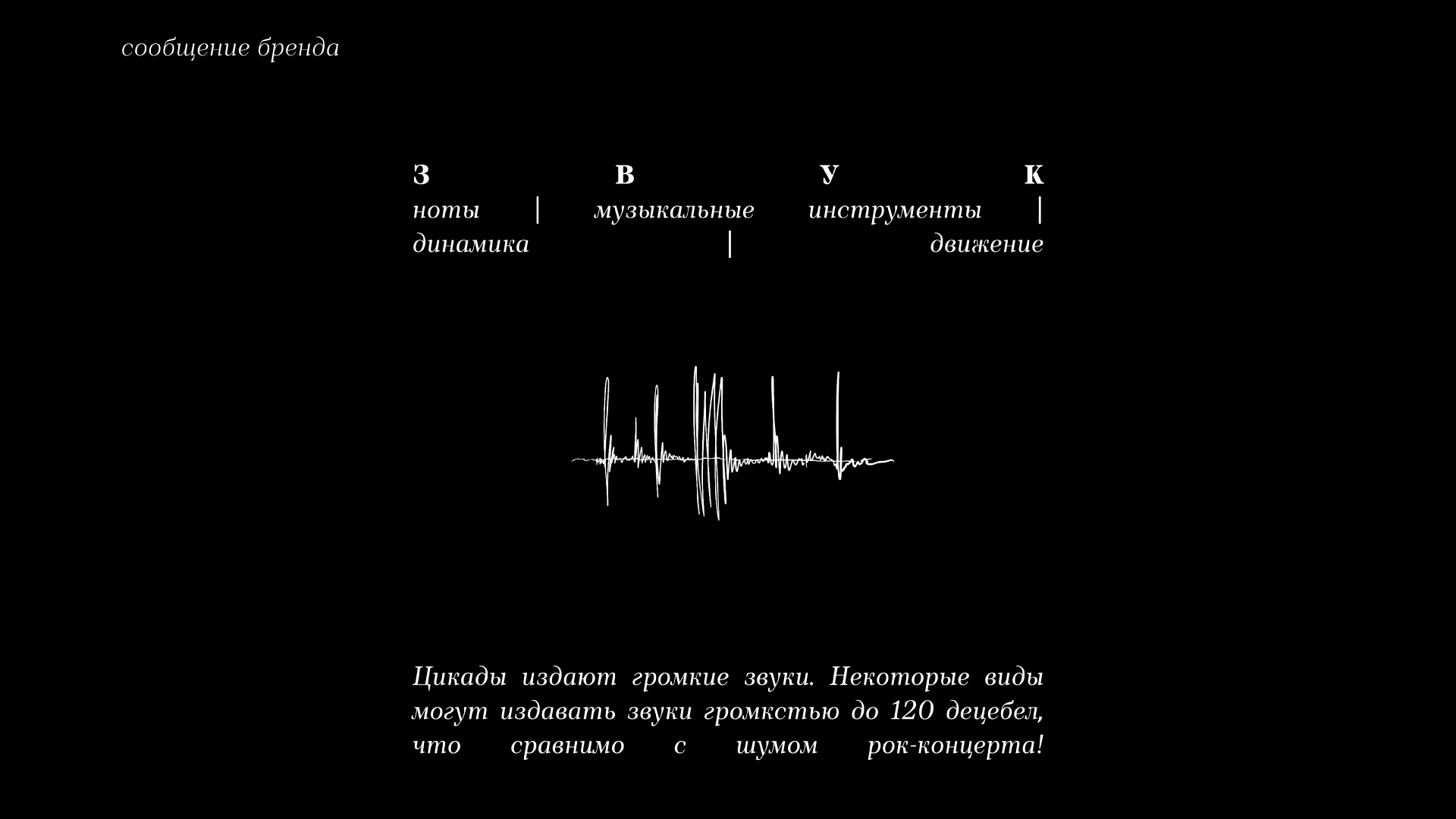 Бистро Цикады — Изображение №16 — Брендинг на Dprofile