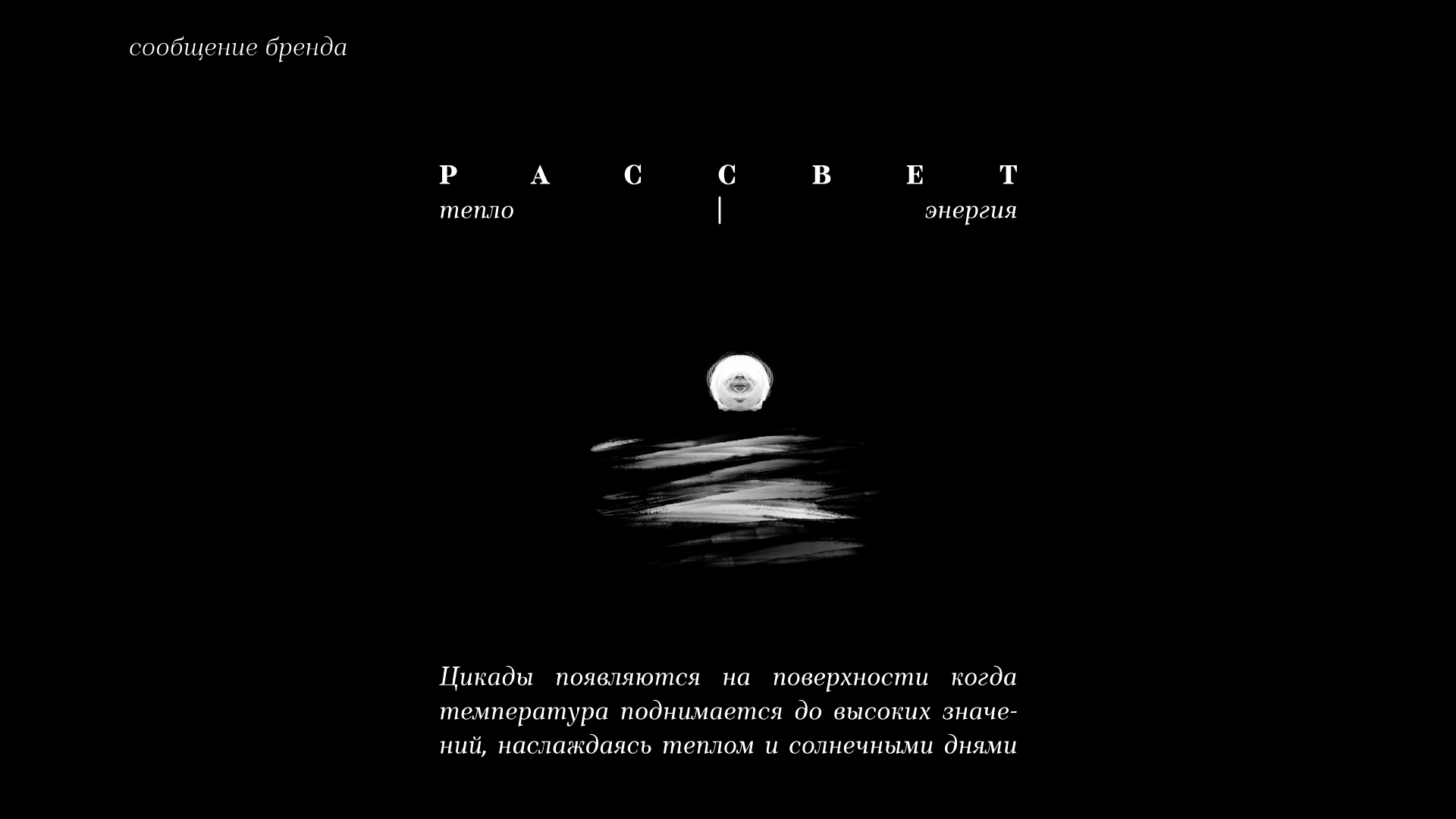Бистро Цикады — Изображение №17 — Брендинг на Dprofile