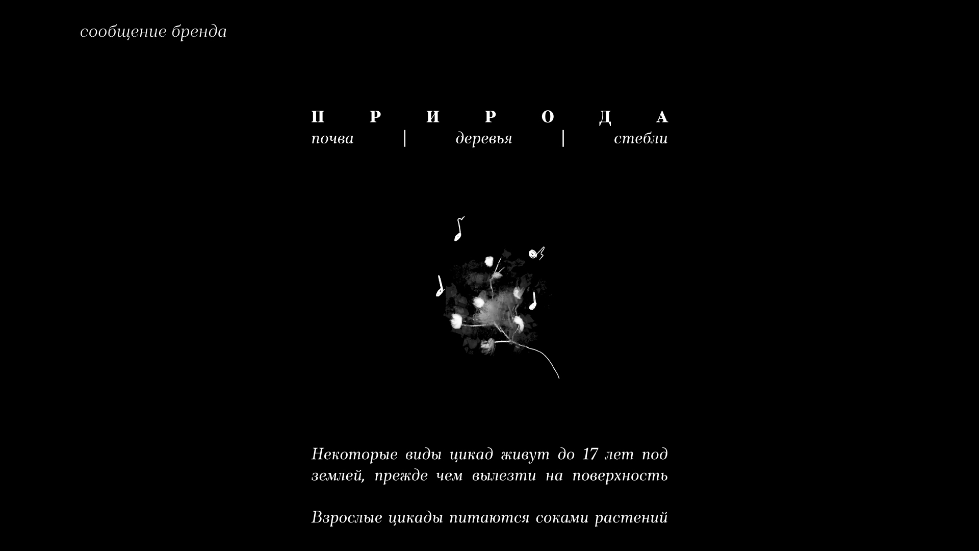 Бистро Цикады — Изображение №18 — Брендинг на Dprofile