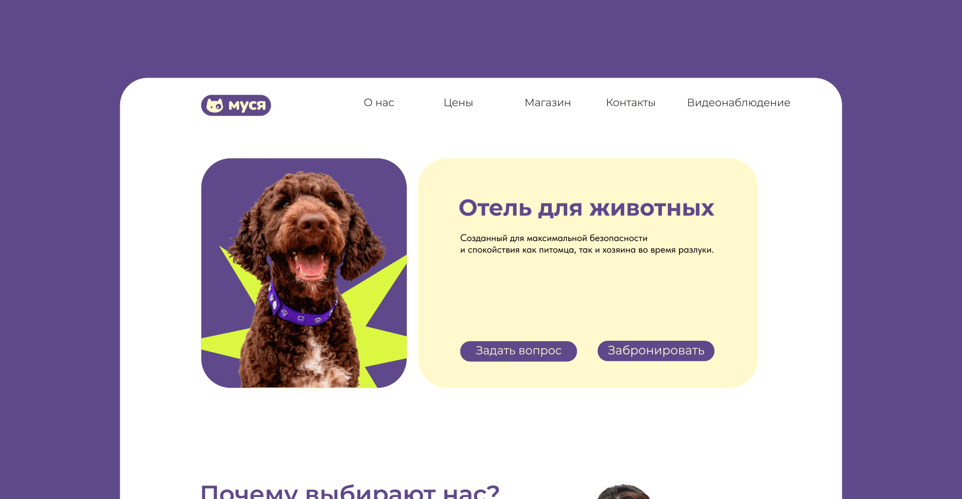МУСЯ - айдентика отеля для животных. — Изображение №9 — Брендинг, Графика на Dprofile