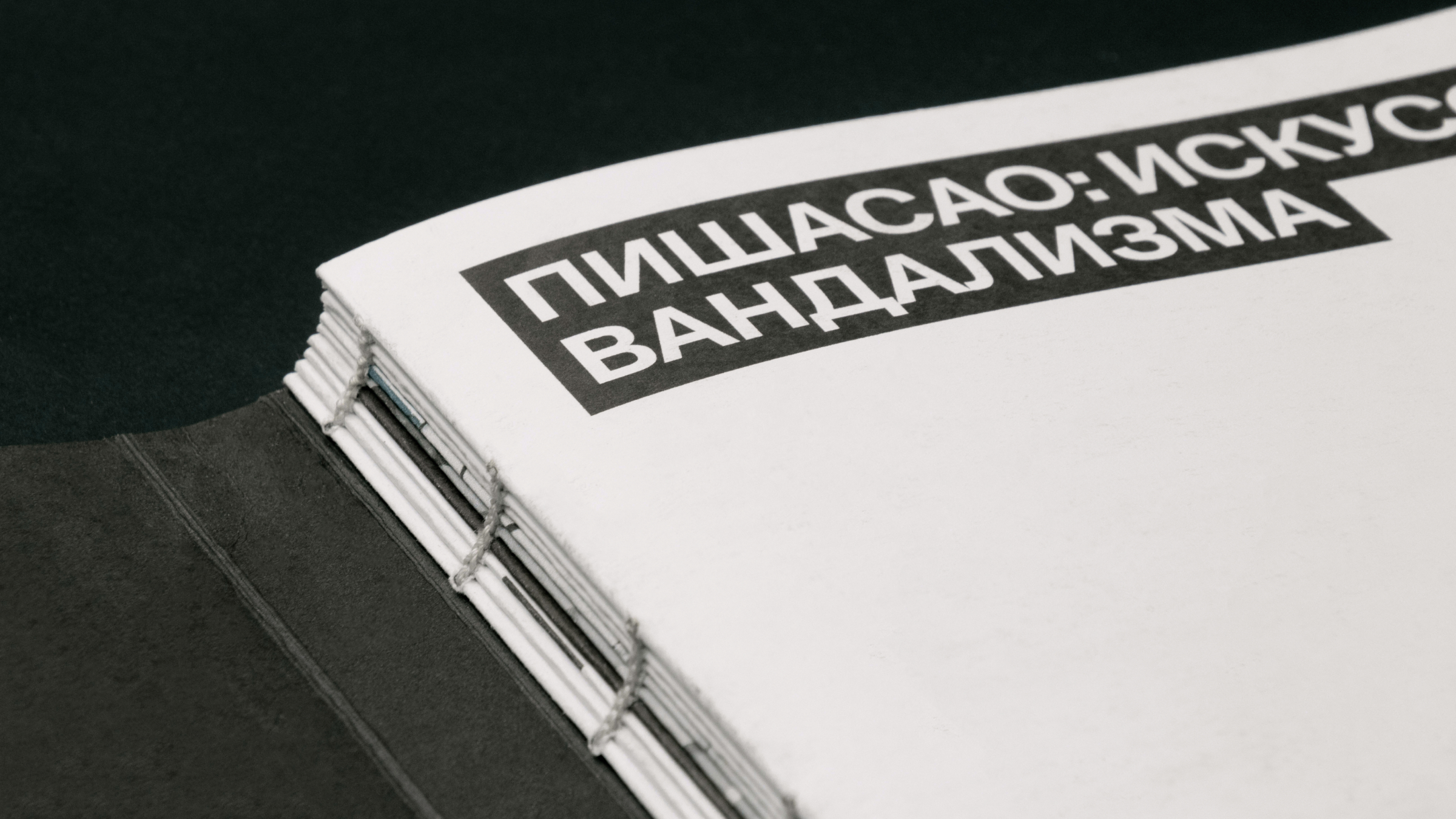 ПИШАСАО: ИСКУССТВО ВАНДАЛИЗМА — Визуальное Исследование — Изображение №2 — Графика на Dprofile
