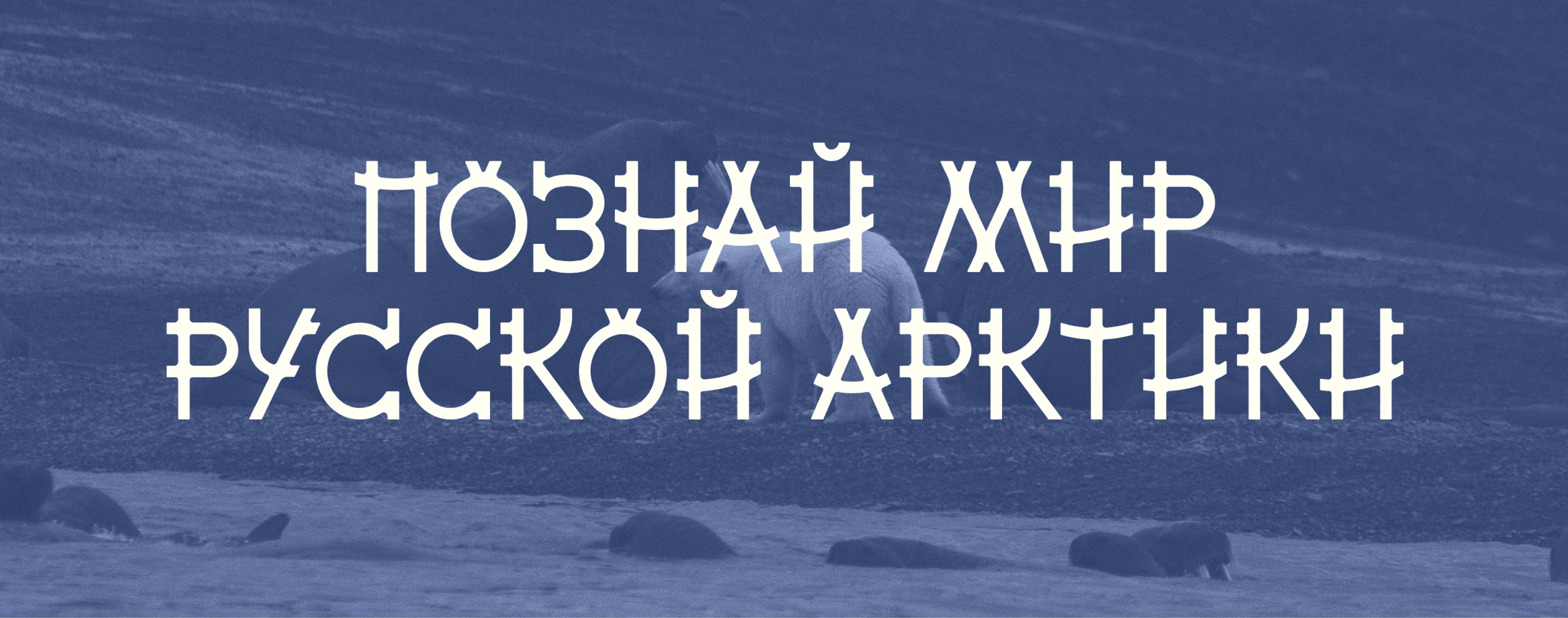 Arktika font — Изображение №14 — Брендинг, Графика на Dprofile
