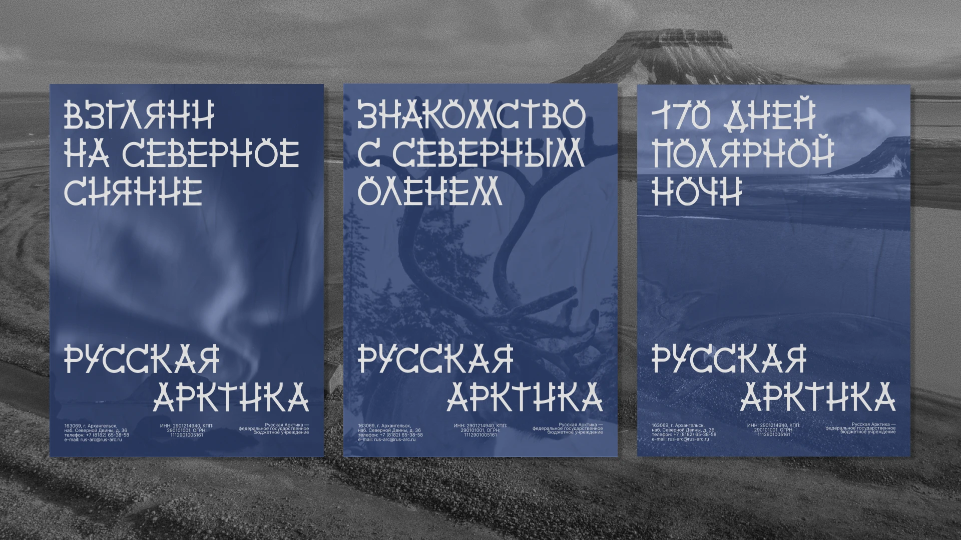 Arktika font — Изображение №11 — Брендинг, Графика на Dprofile