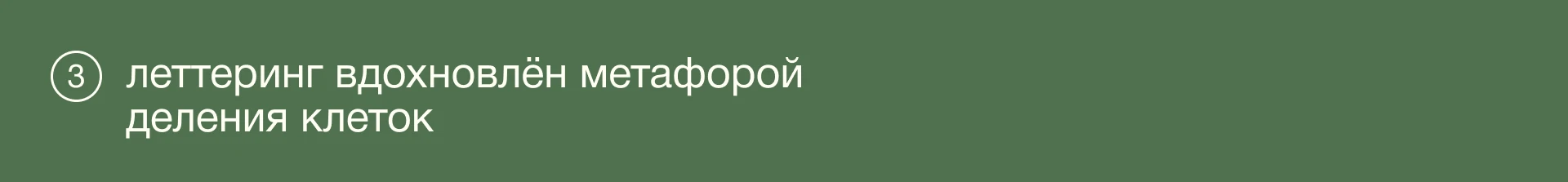 Бриум: леттеринг для бренда ателье — Изображение №10 — Брендинг, Графика на Dprofile