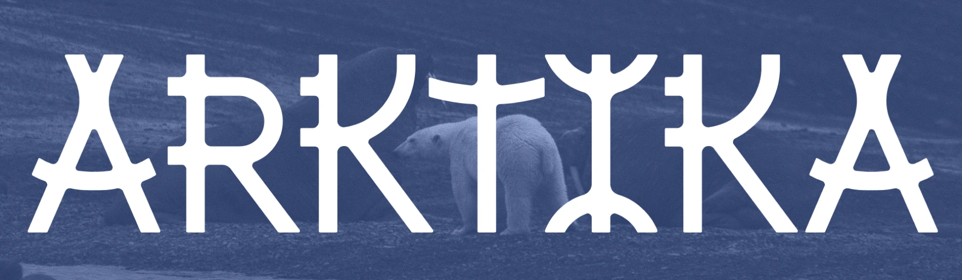 Arktika font — Изображение №1 — Брендинг, Графика на Dprofile