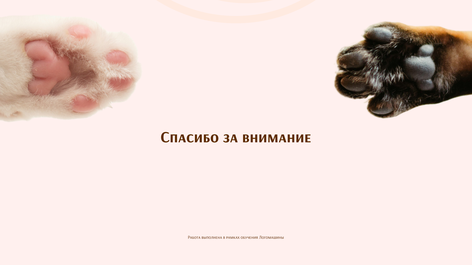 Визуальный стиль груминг-салона Лапкино — Изображение №8 — Брендинг на Dprofile