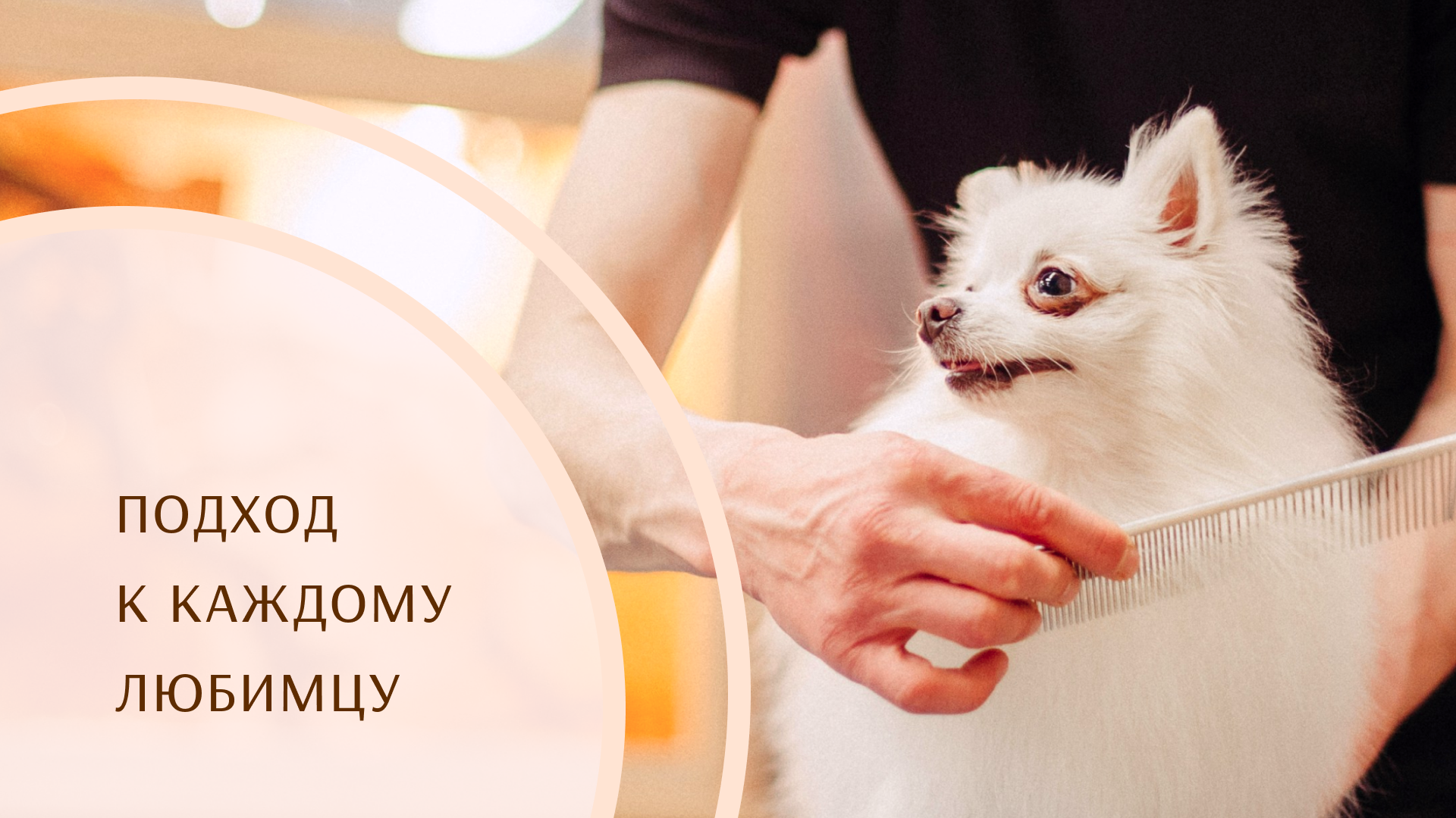 Визуальный стиль груминг-салона Лапкино — Изображение №1 — Брендинг на Dprofile