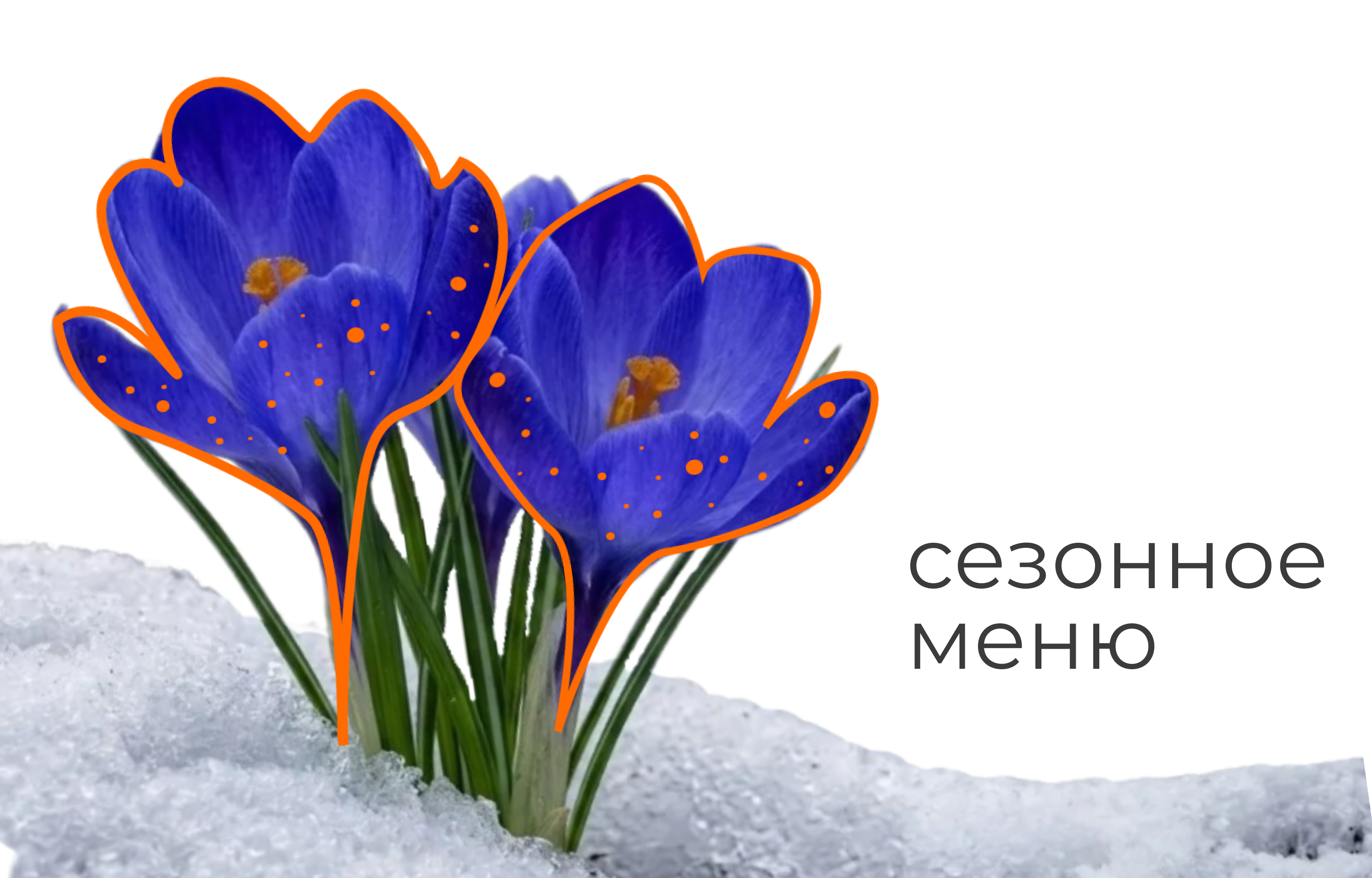 Визуальная коммуникация для международной сети кофеен Cofix — Изображение №7 — Брендинг, Графика на Dprofile