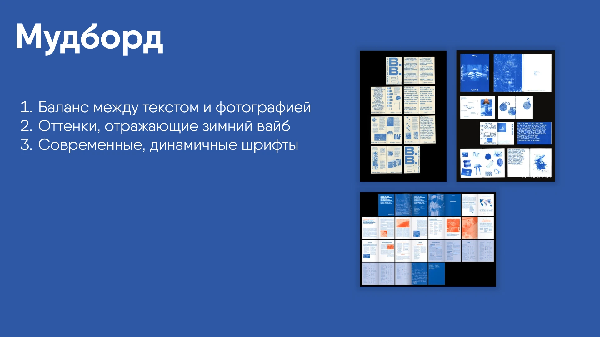 Гид-буклет по горнолыжным курортам России — Изображение №3 — Графика на Dprofile