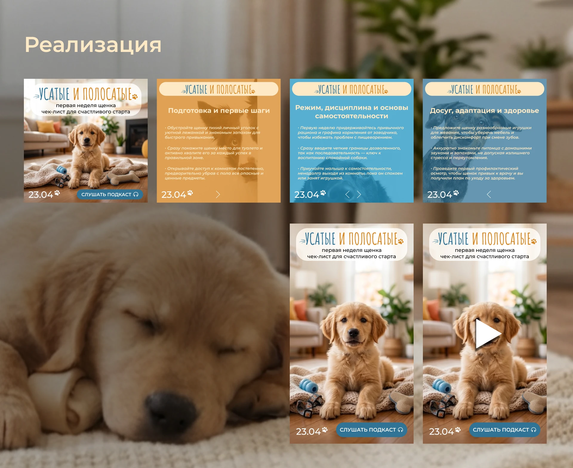 social media Whiskered & Striped — Изображение №4 — Маркетинг на Dprofile