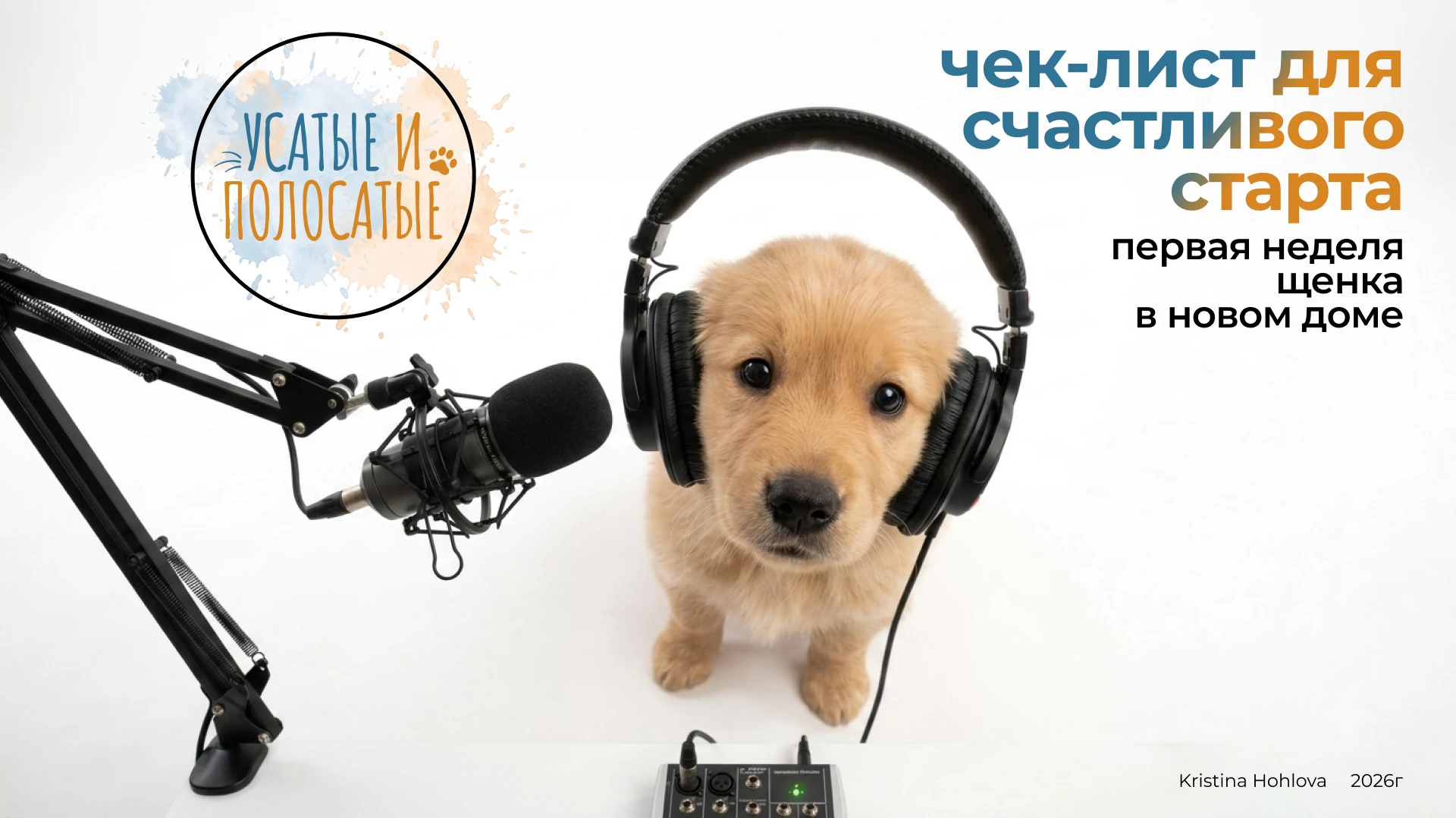 social media Whiskered & Striped — Изображение №1 — Маркетинг на Dprofile