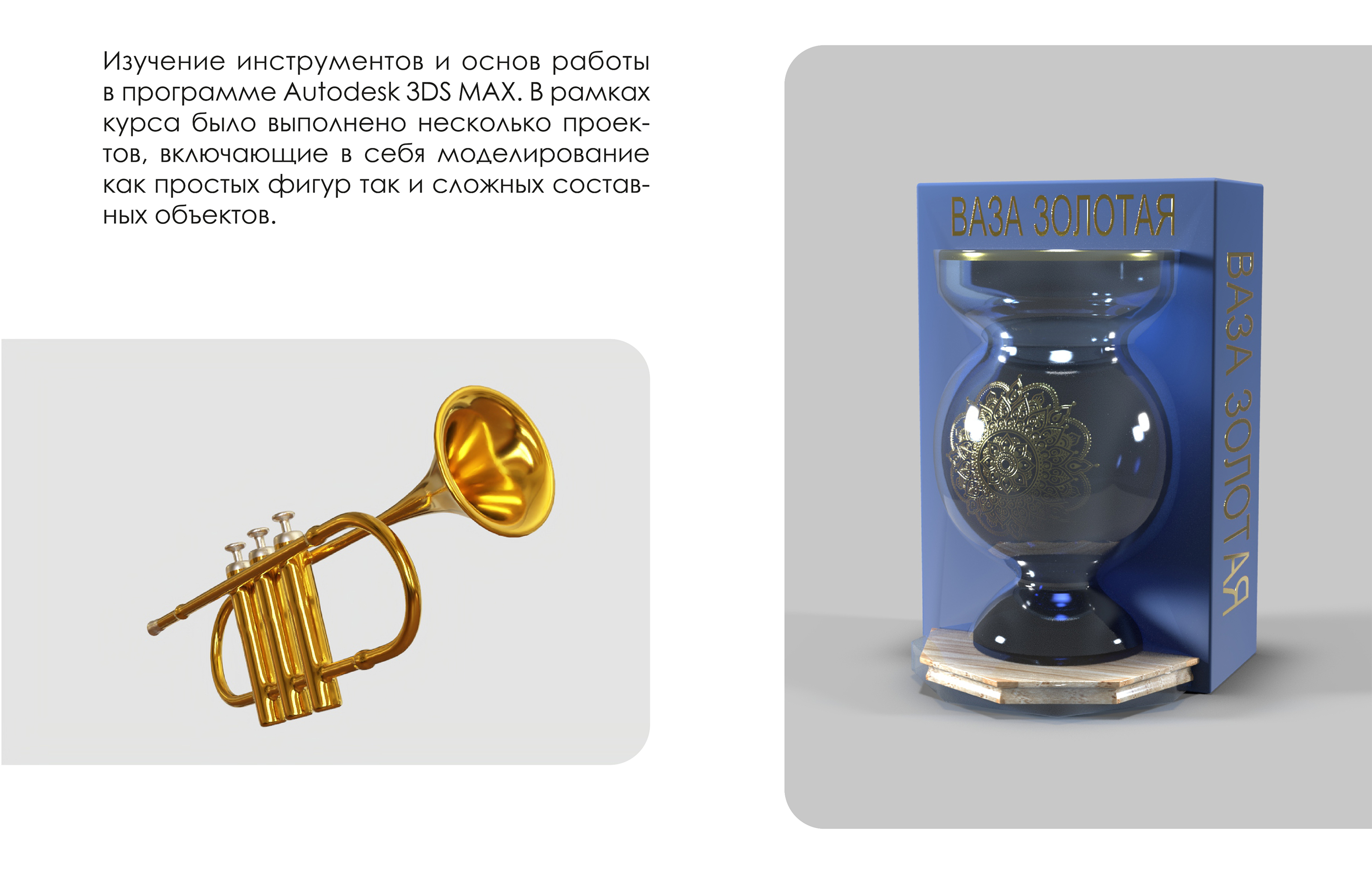 Академическое портфолио — Изображение №7 — Брендинг, Графика на Dprofile