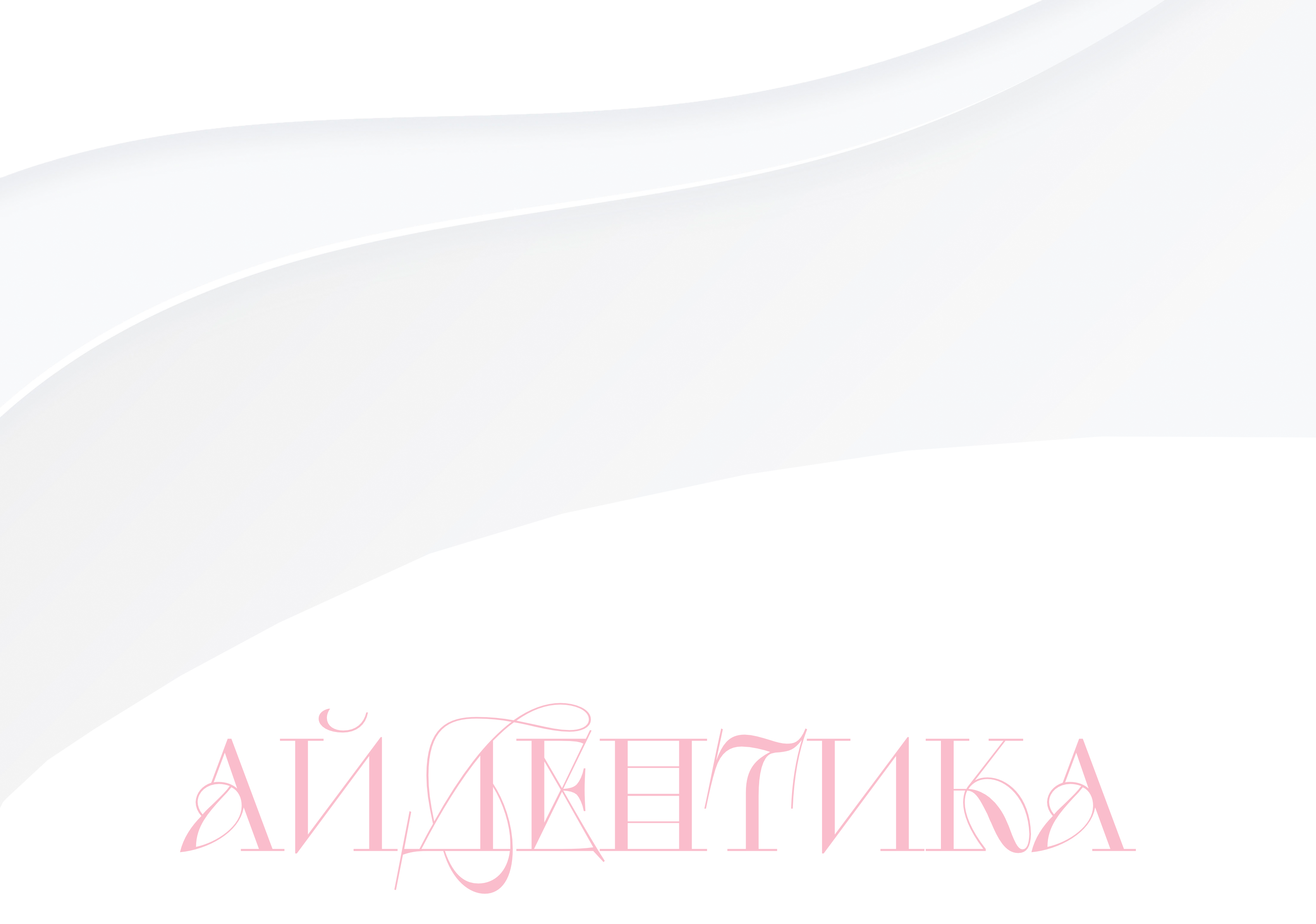 Портфолио Дизайнер 2026 — Изображение №3 — Брендинг, Графика на Dprofile