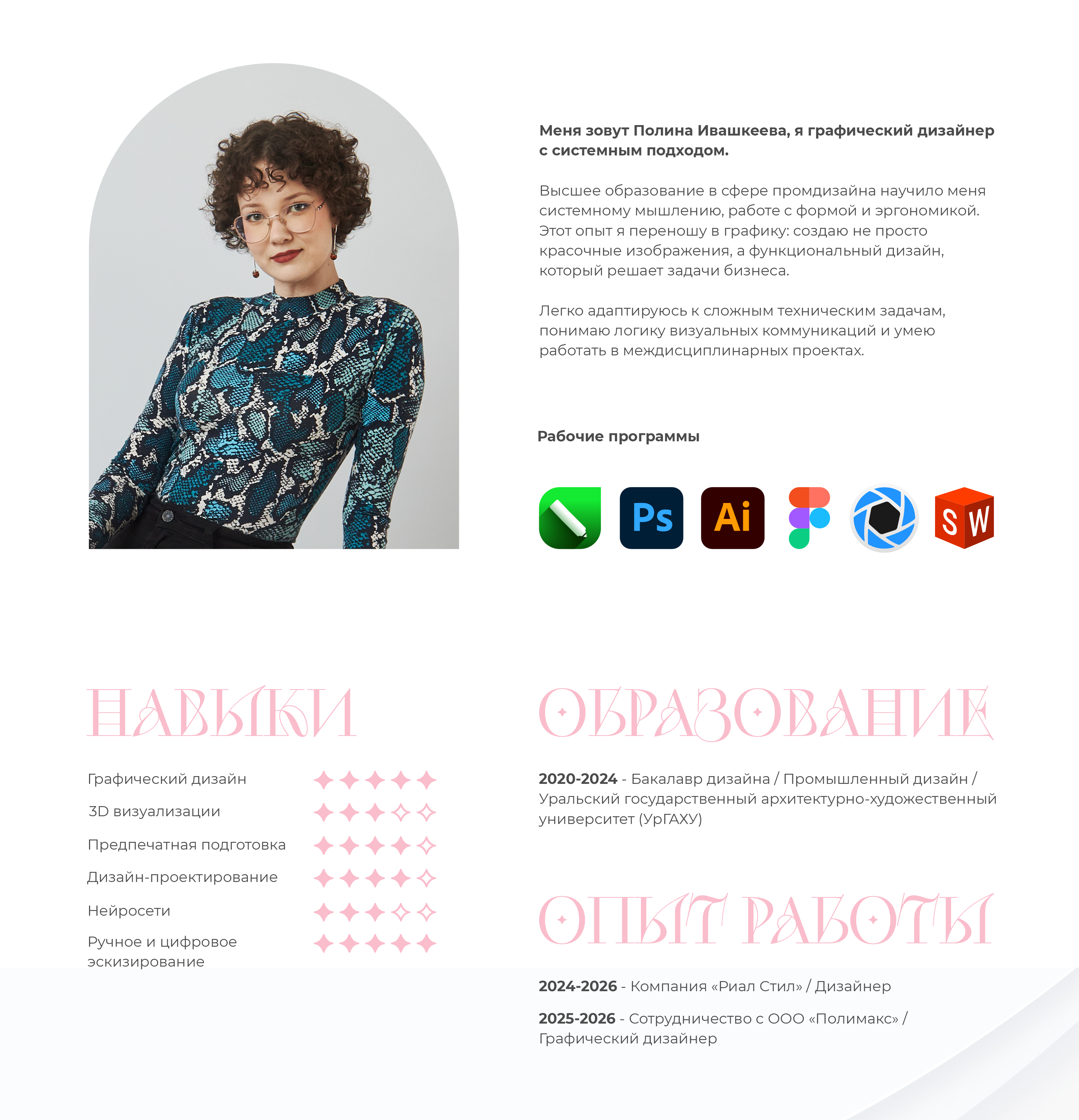 Портфолио Дизайнер 2026 — Изображение №2 — Брендинг, Графика на Dprofile