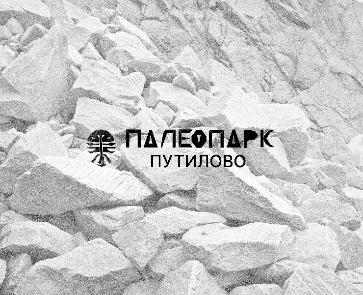 Брендинг для Палеопарка на Dprofile