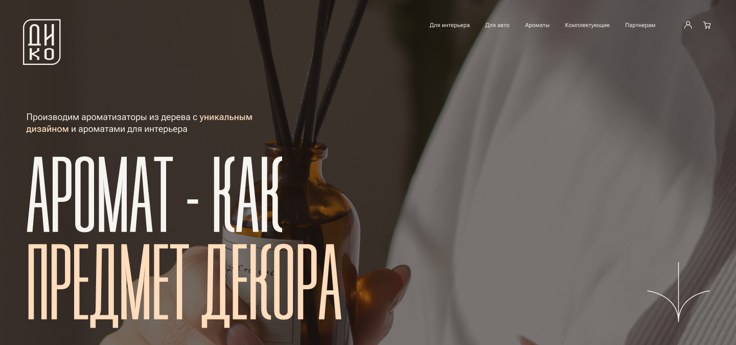 Промо сайт DIKO / web — Изображение №2 — Интерфейсы, Анимация на Dprofile