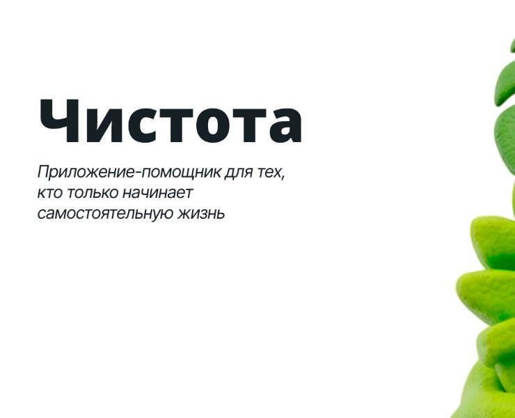 Концепт приложения: "Чистота" — Интерфейсы на Dprofile