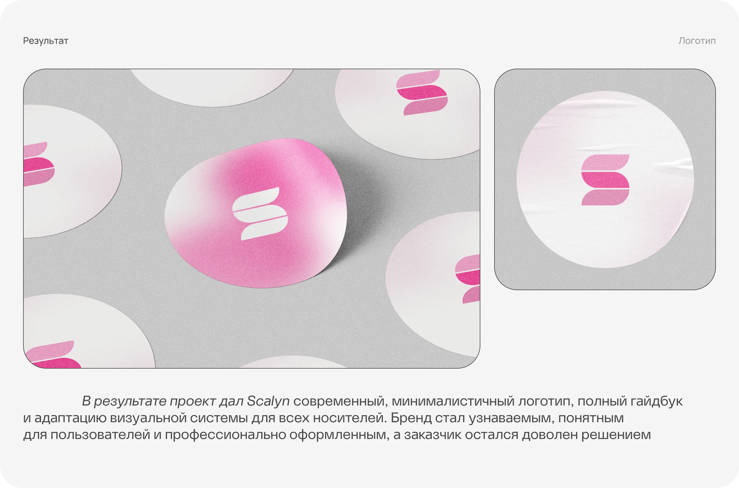Scalyn — Изображение №16 — Интерфейсы, Брендинг на Dprofile