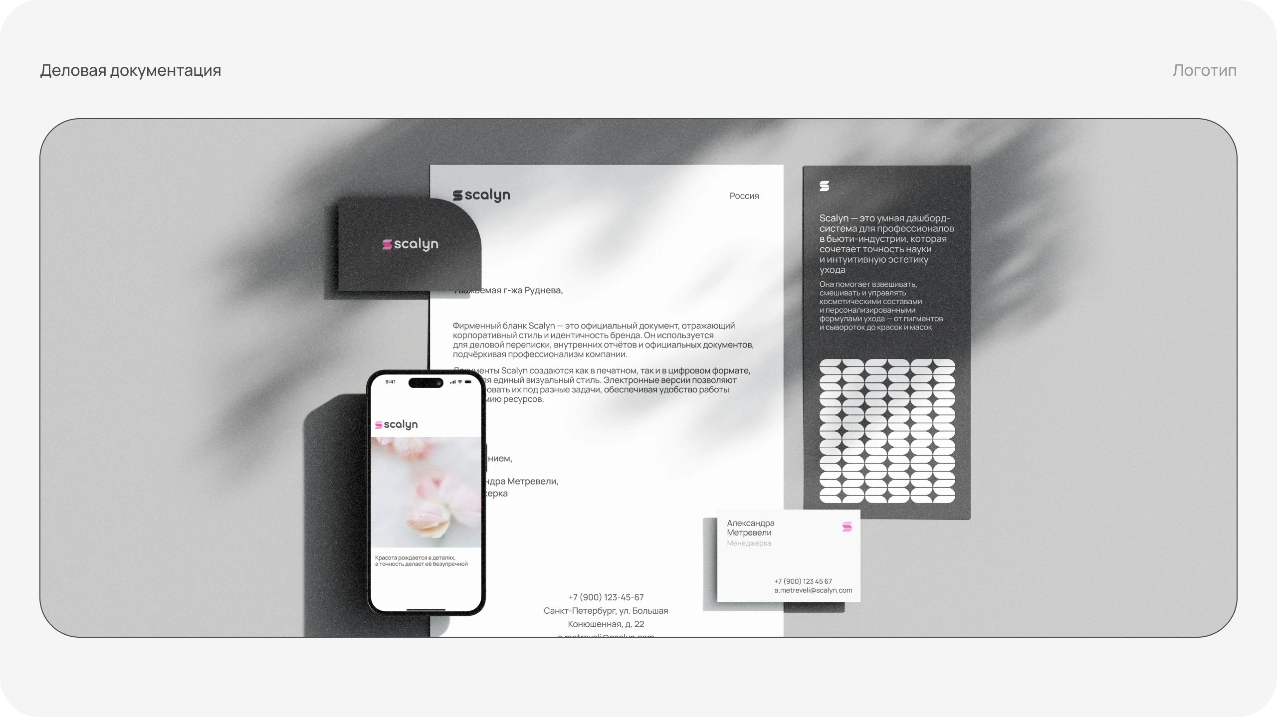 Scalyn — Изображение №14 — Интерфейсы, Брендинг на Dprofile