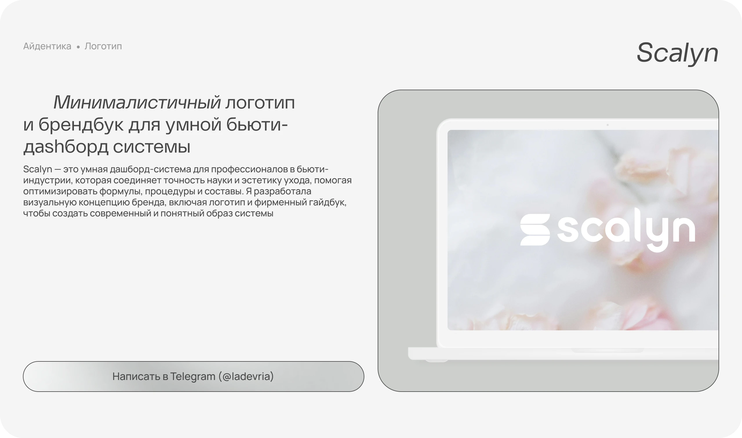 Scalyn — Изображение №2 — Интерфейсы, Брендинг на Dprofile