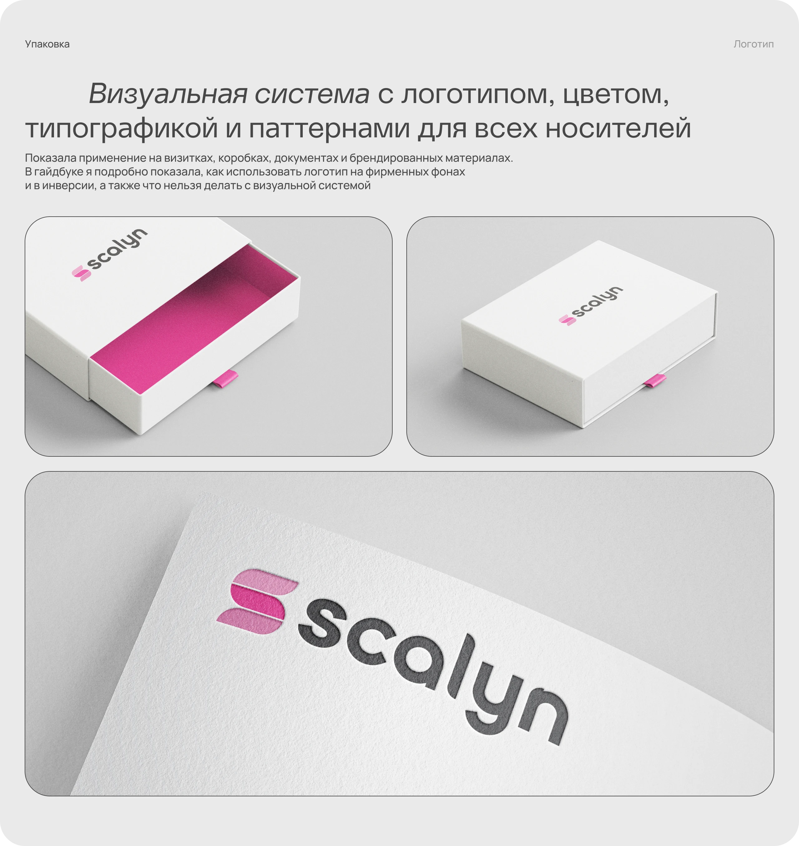 Scalyn — Изображение №13 — Интерфейсы, Брендинг на Dprofile