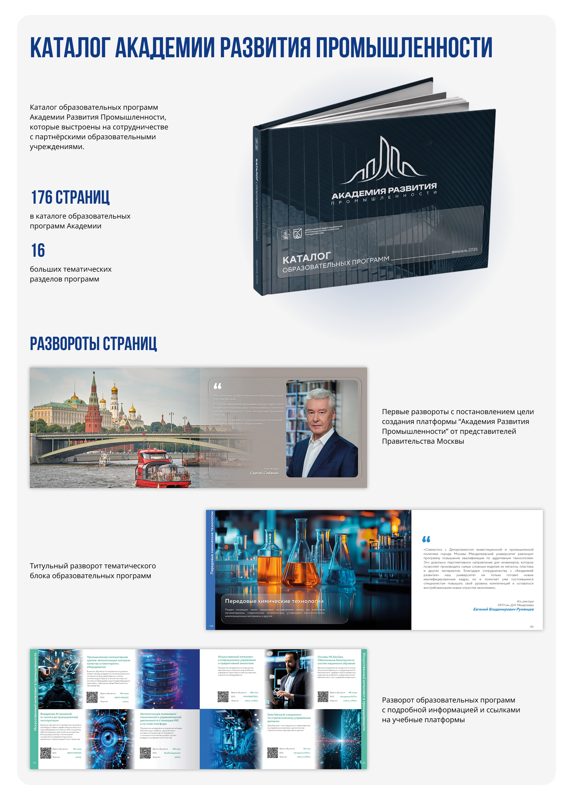 Портфолио 2026. ДИПП и КМЗ — Изображение №12 — Графика, Маркетинг на Dprofile