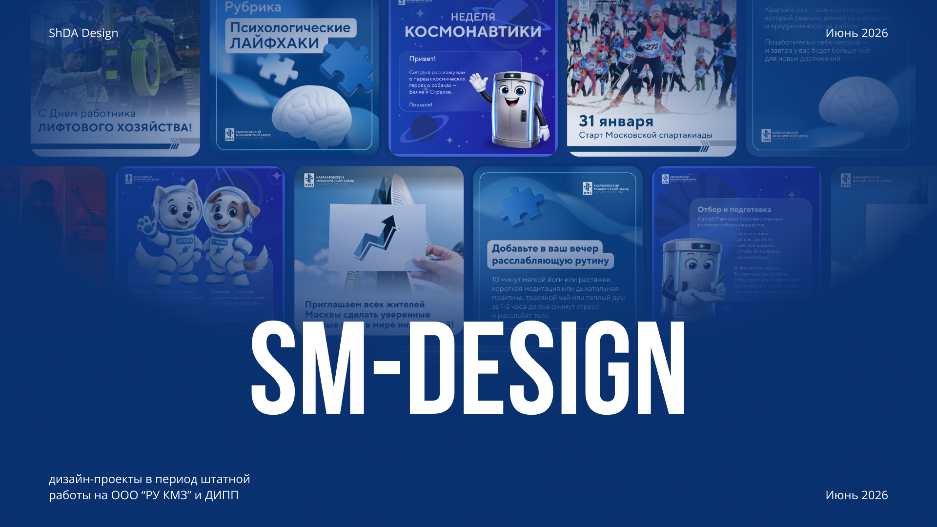 Портфолио 2026. ДИПП и КМЗ — Изображение №14 — Графика, Маркетинг на Dprofile