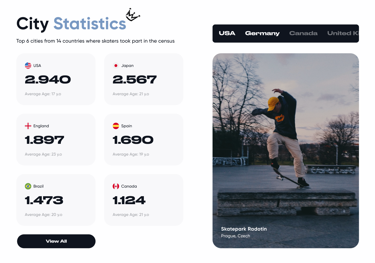 BOW SHOCK — Skater Census & Website UI/UX — Изображение №2 — Интерфейсы, Брендинг на Dprofile
