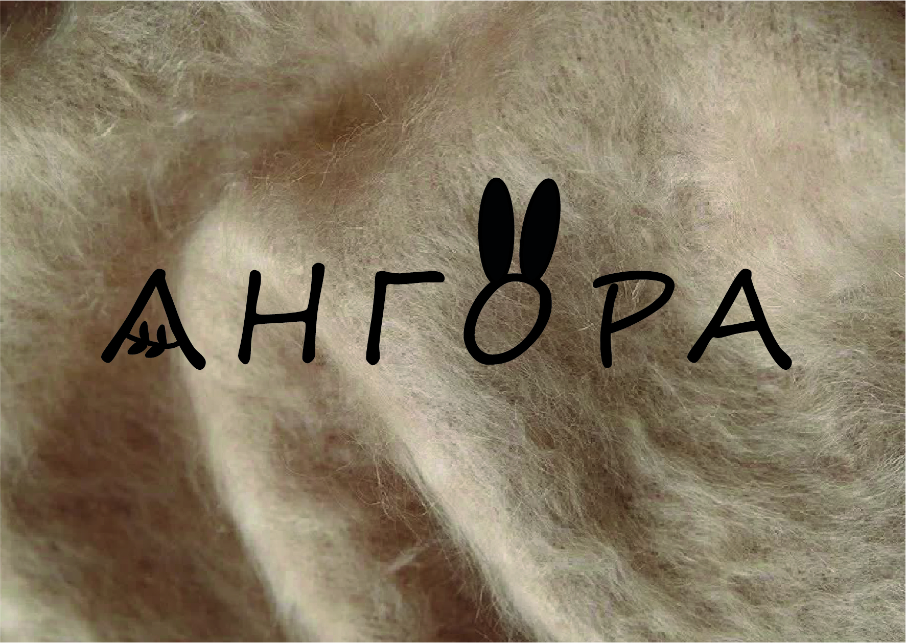 ANGORA — Визуальная концепция и фирменный стиль — Изображение №1 — Брендинг на Dprofile