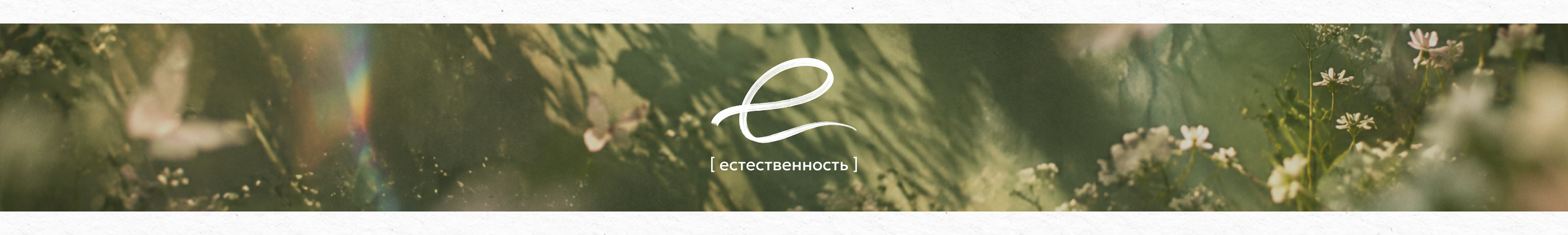БКВЧ`26 — Изображение №5 — Иллюстрация, Графика на Dprofile