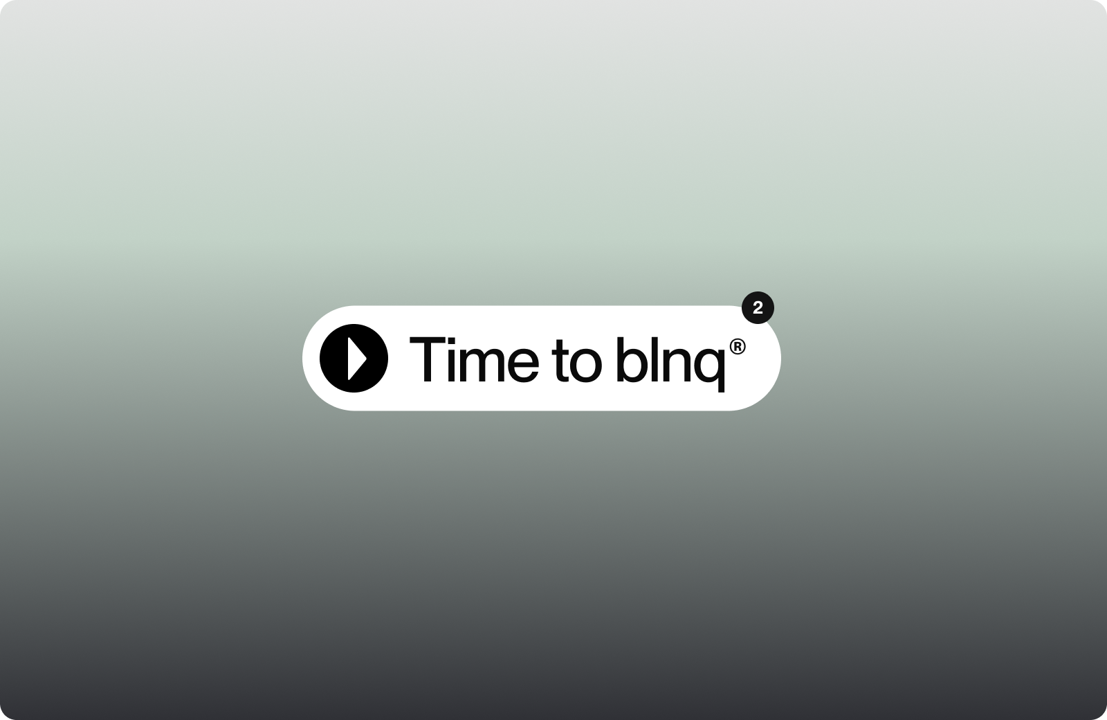 BLNQ — Изображение №26 — Брендинг на Dprofile