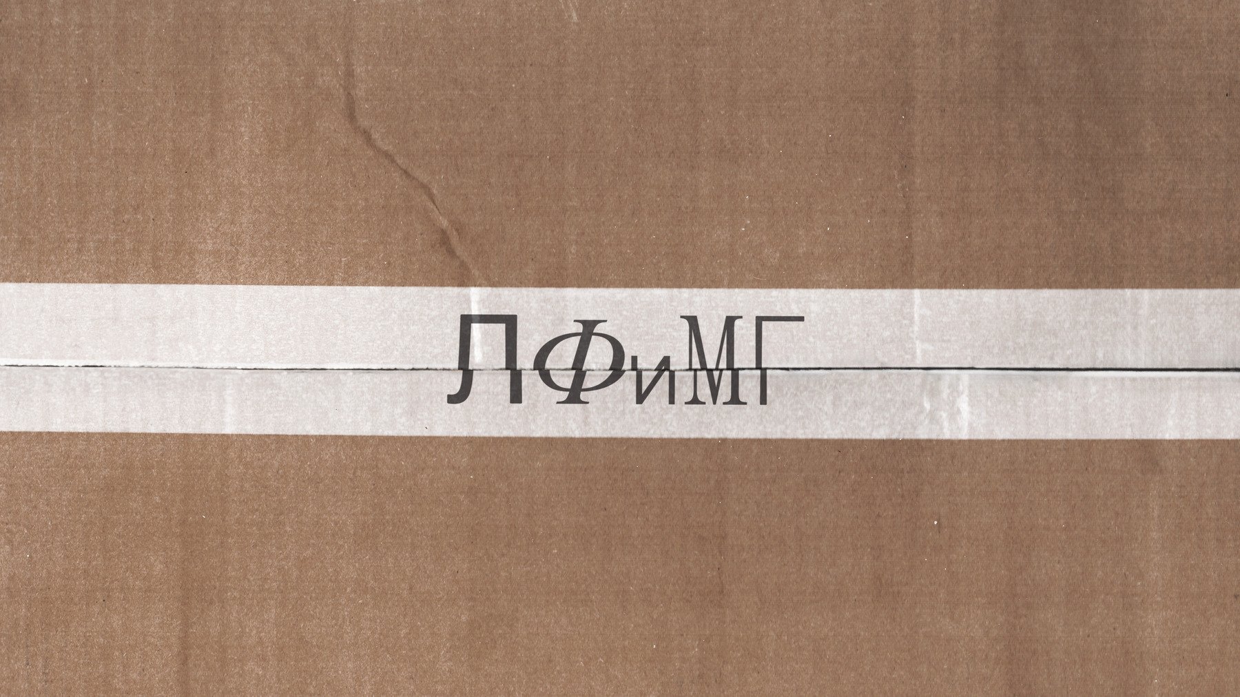 Айдентика литературного фестиваля Максима Горького — Изображение №7 — Брендинг, Графика на Dprofile