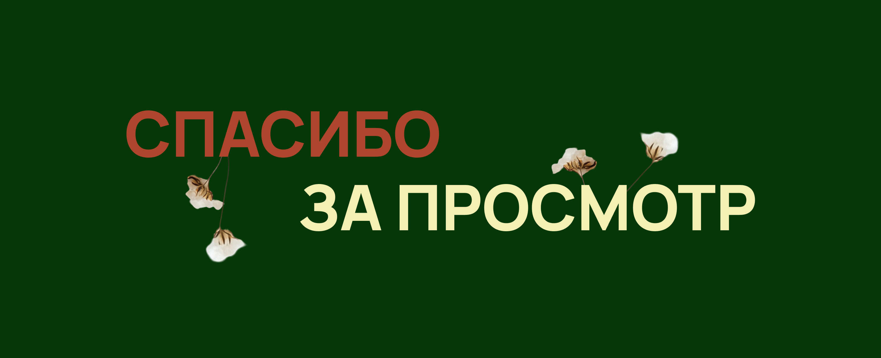 Fake Sober — Beverage Brand Website Design — Изображение №8 — Интерфейсы на Dprofile