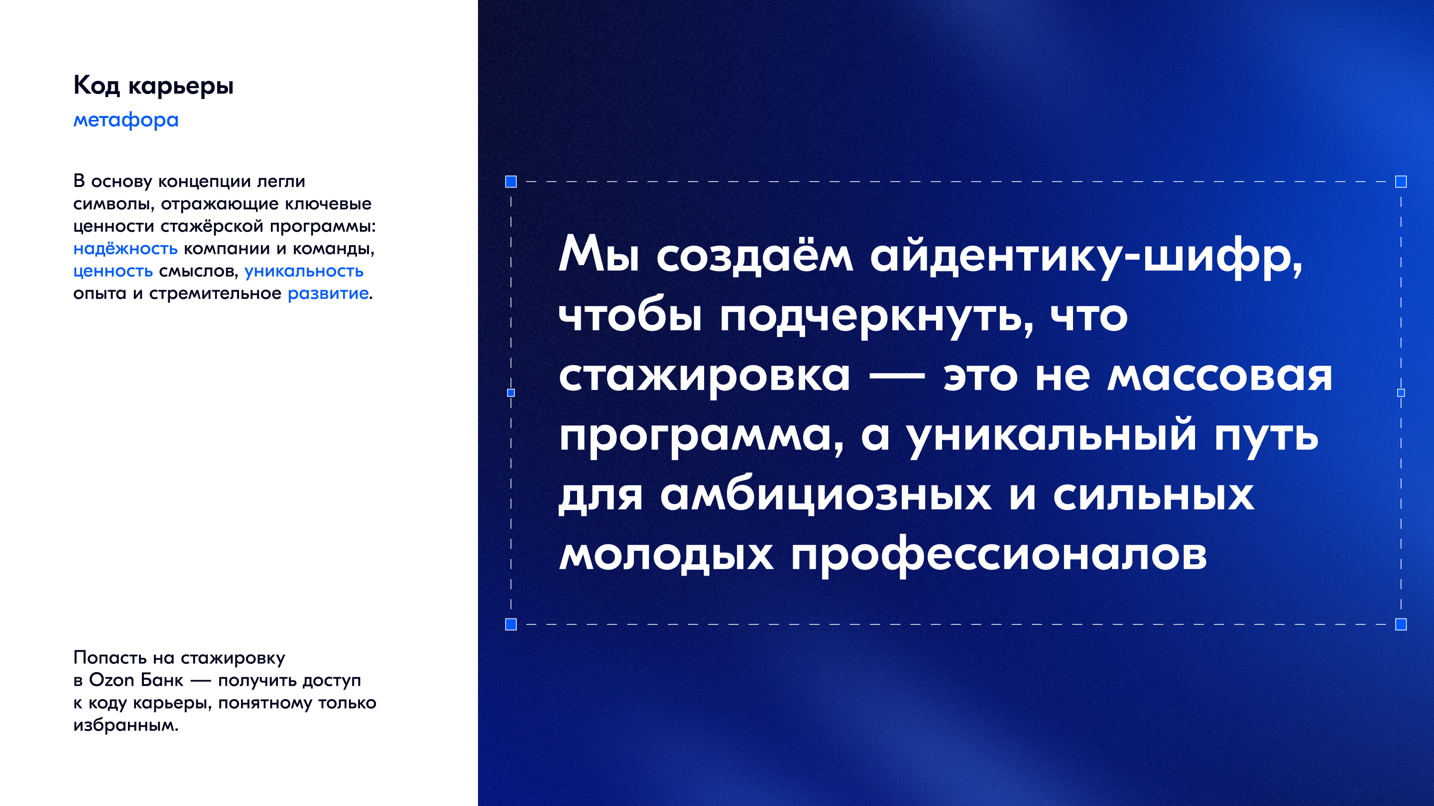 Ozon Банк: Стажёрская программа — Изображение №3 — Брендинг, Иллюстрация на Dprofile