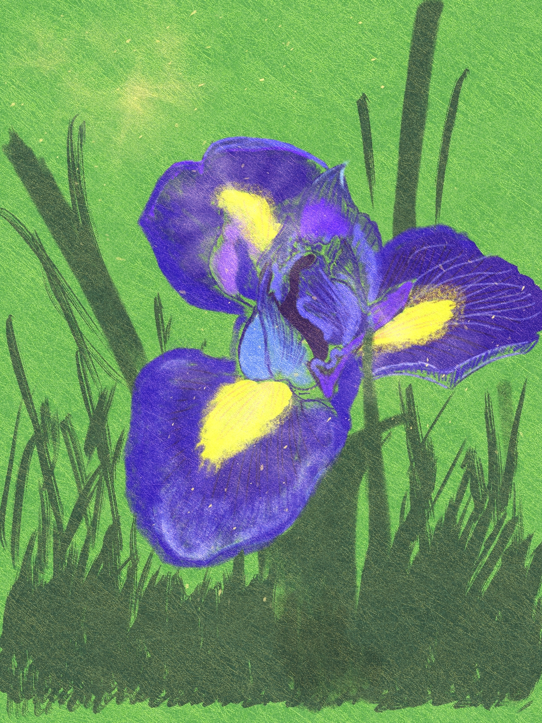 Flora_iris — Изображение №1 — Брендинг, Иллюстрация на Dprofile