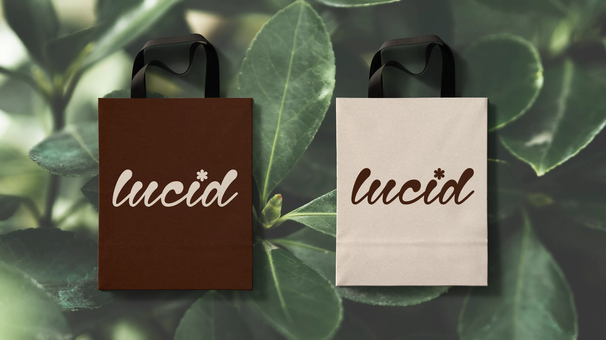Айдентика Lucid Skincare — Изображение №15 — Брендинг на Dprofile