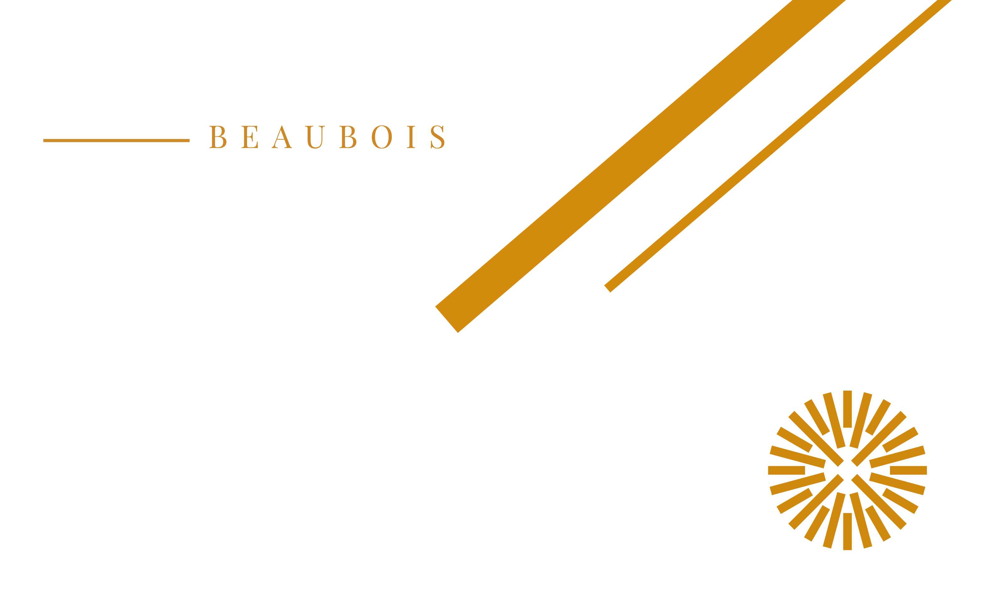 Локализация сайта Beaubois — Изображение №2 — Интерфейсы на Dprofile
