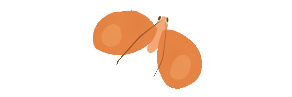 ENTOMOLOGICAL COLLECTION-Animation — Изображение №17 — 3D, Анимация на Dprofile