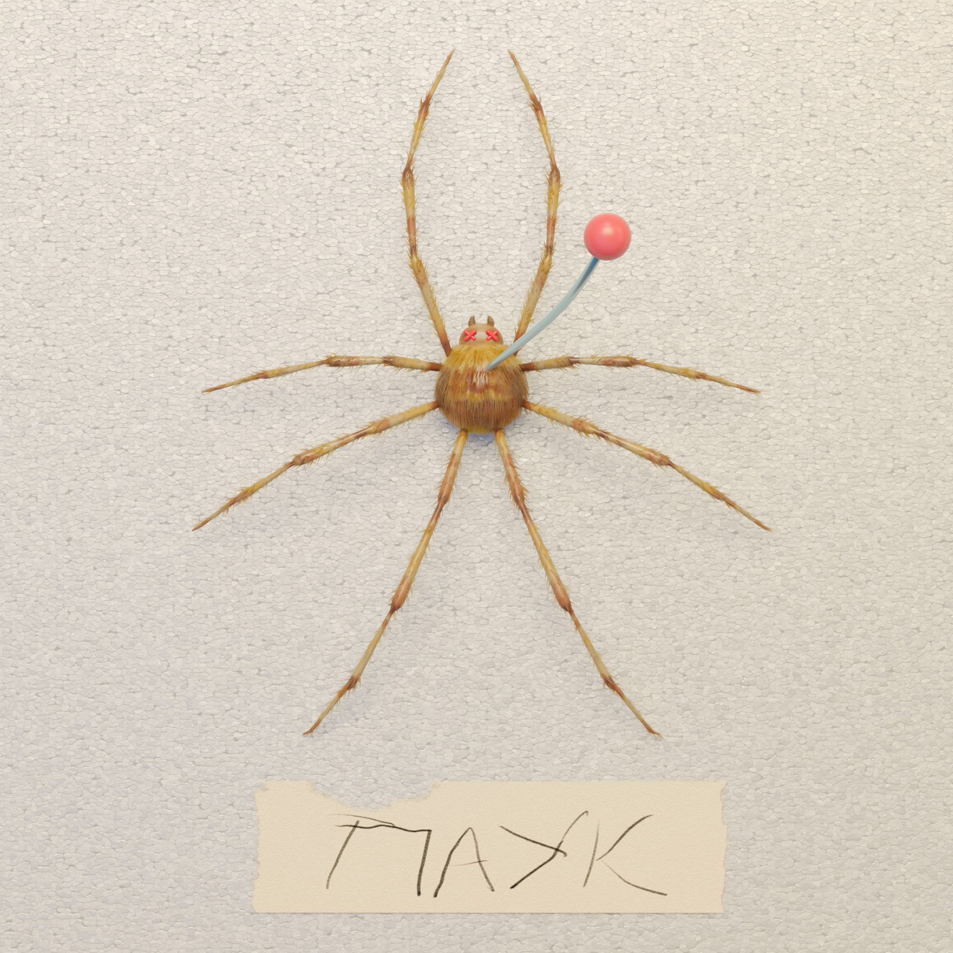 ENTOMOLOGICAL COLLECTION-Animation — Изображение №7 — 3D, Анимация на Dprofile