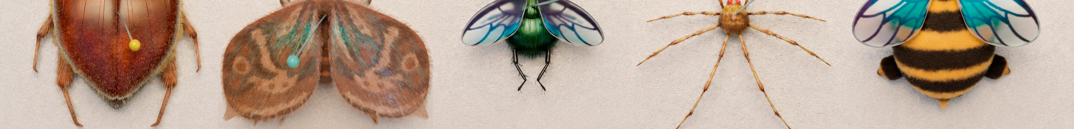 ENTOMOLOGICAL COLLECTION-Animation — Изображение №1 — 3D, Анимация на Dprofile