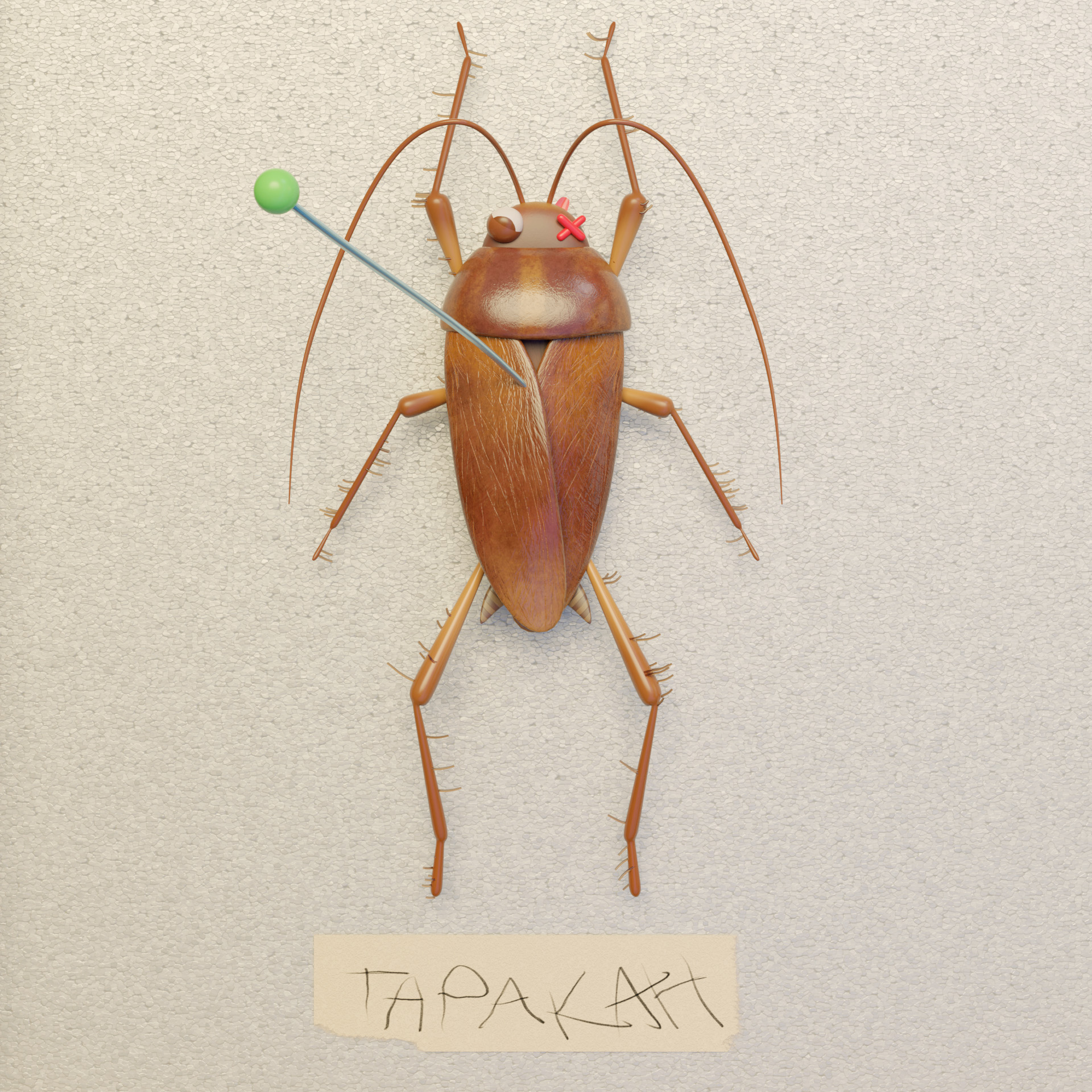 ENTOMOLOGICAL COLLECTION-Animation — Изображение №8 — 3D, Анимация на Dprofile