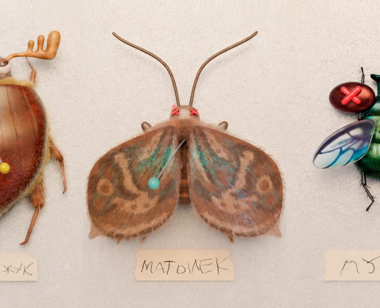 ENTOMOLOGICAL COLLECTION-Animation на Dprofile
