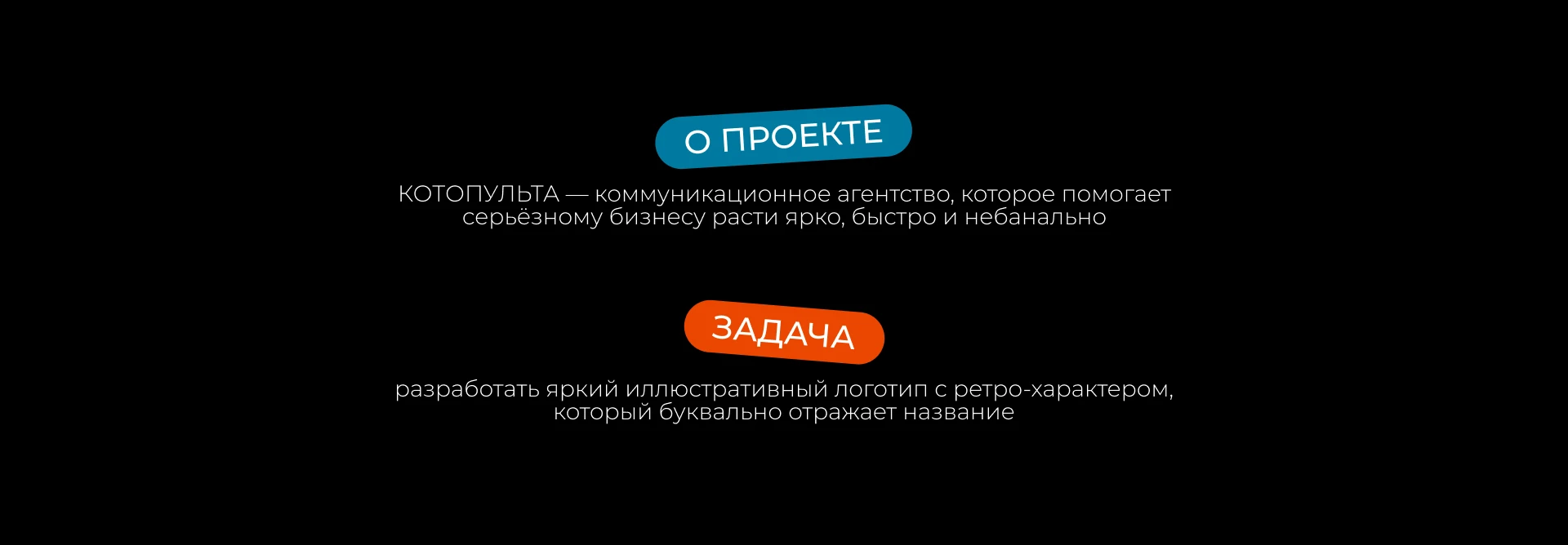 КОТОПУЛЬТА — Изображение №3 — Брендинг на Dprofile